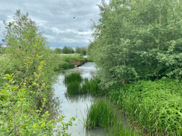 A stream with grass and trees on the Alscot estate
