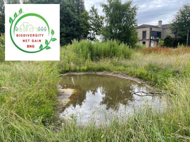 A pond that has been installed at the Yorkshire Ambulance Service site in York. (Image courtesy of Alexis Percival)